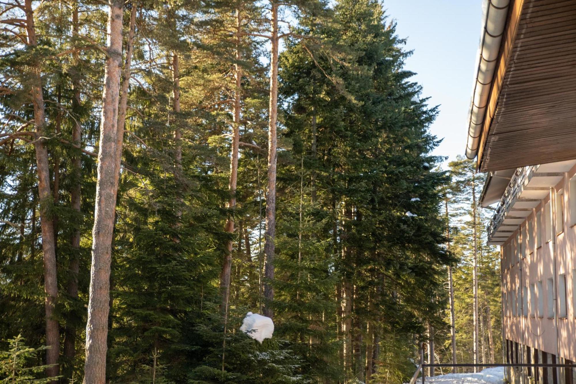 Hotel Borovets Edelweiss Exterior foto