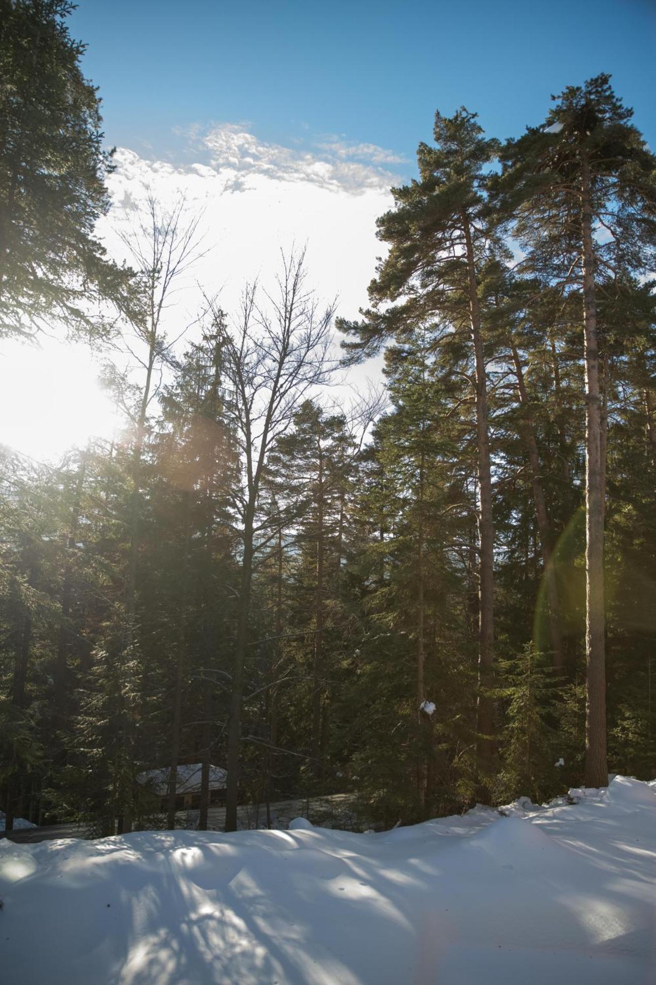Hotel Borovets Edelweiss Exterior foto
